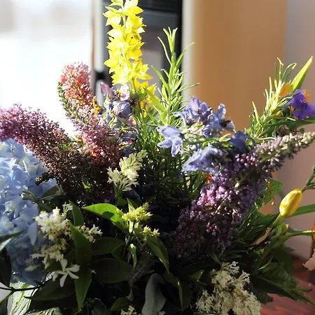 Couette-café Dei Laghi Magreglio